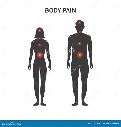 male female body chart silhouette front stock vector