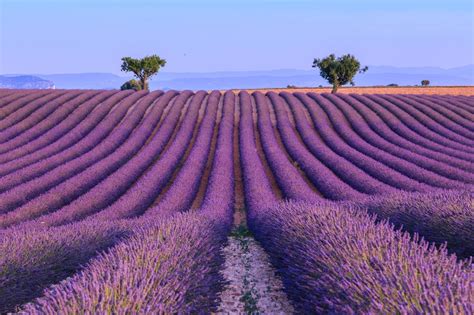 Best Time To Visit Provence And French Riviera 2023 Weather And 75 Things