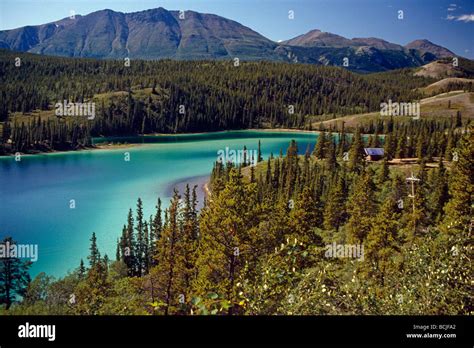 Emerald Lake Wcabin In Yukon Territory Canada Summer Near Klondike Hwy