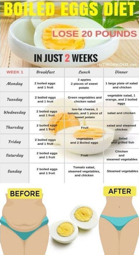 14 Day Egg Diet Menu Best Culinary And Food