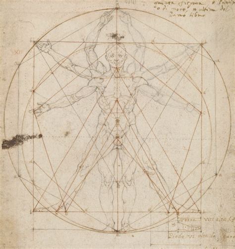 Leonardo Da Vinci Izreke Lilianlanttob