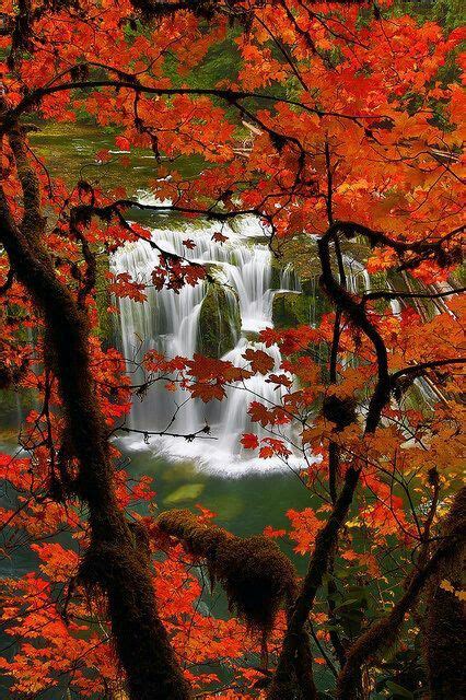 Pin By Tracey Ammons On Cool Autumn Pics In 2019 Beautiful Waterfalls