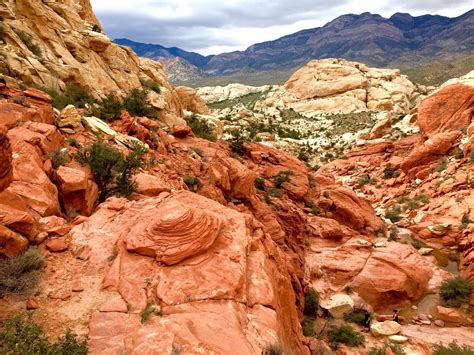 Red Rock Canyon Hd Wallpapers Backgrounds