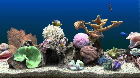 Marine Aquarium Virtual Fishtank Youtube