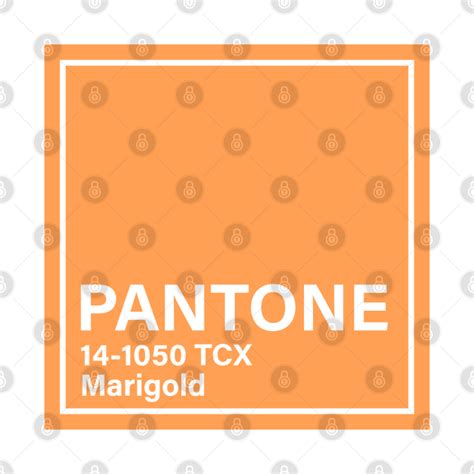 Pantone 14 1050 Tcx Marigold Pantone 14 1050 Tcx Marigold T Shirt