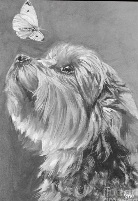Pin By Nadia Amin On Cats And Dogs Dog Portraits Art Yorkie Painting