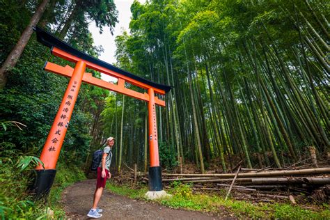 Hiking Kyoto Trail Fushimi Inari Shrine To Tofukuji Temple Travel