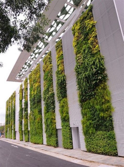 The Living Wall At The Singapore Institute Of Technology And Education