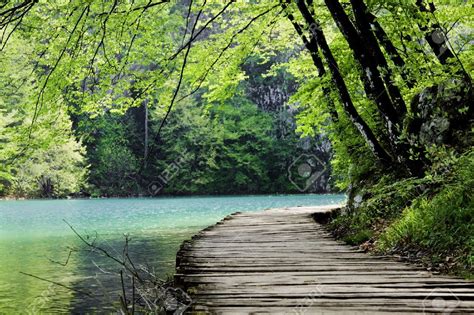 Wooden Path Near A Forest Lake Shot At Plitvice Lakes National Stock