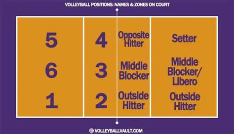 My World Positions In Volleyball
