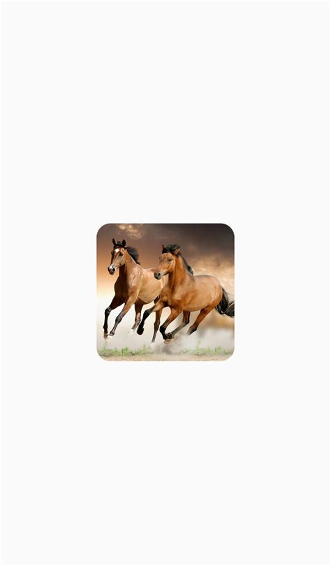 Live Horse Wallpapersoffline Apk For Android Download