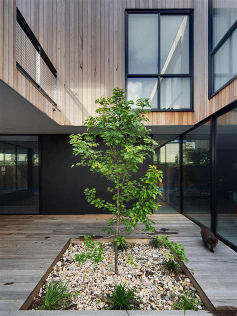 Tree In Courtyard Houzz