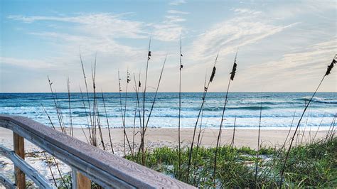 Hd Wallpaper Seashore Sky Grass Sand Dunes Sandy Florida Beach