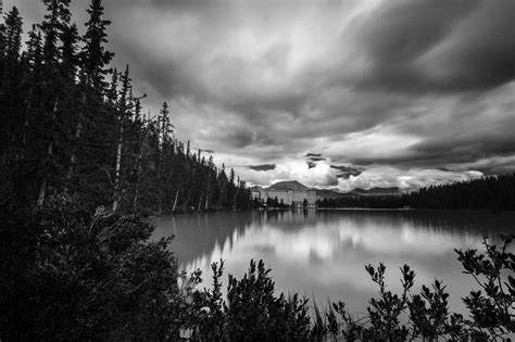 Body Of Water Monochrome Lake Forest Building Hd Wallpaper