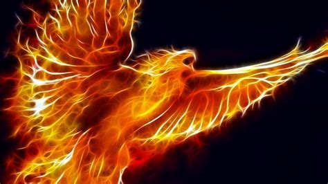 Eagle Is Flying With Fire Hd Fire Wallpapers Hd Wallpapers Id 54320