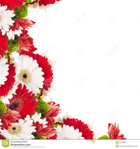 White And Red Flowers Bouquet Stock Photo Image Of Green Flower