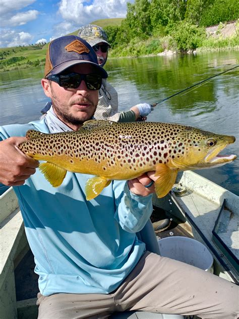 Headhunters Fly Shop Mo River Fishing Report 62223 Headhunters Fly Shop