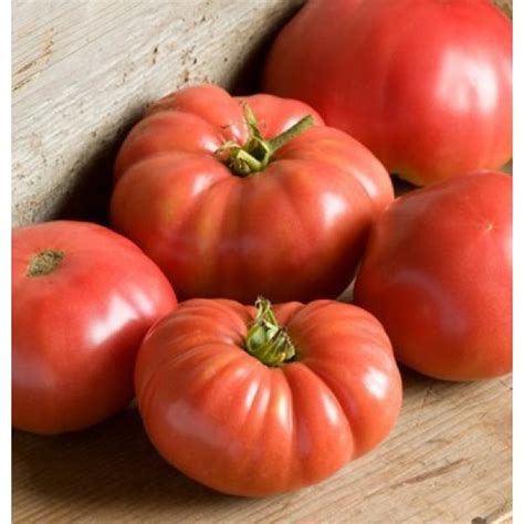 Davids Garden Seeds Tomato Beefsteak German Johnson Sl3815 Red 50