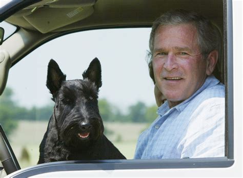 President George W Bushs Dog Barney Dies