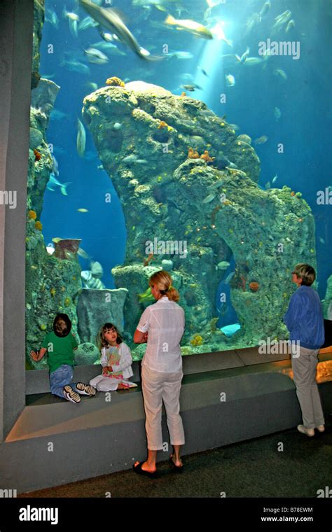 People Touring South Carolina Aquarium In Charleston South Carolina