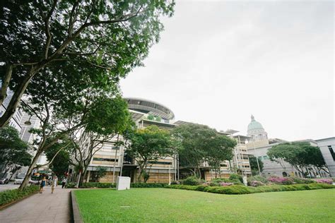 The court of appeal today used video conferencing to conduct proceedings on appeals in three civil lawsuits on dependency claim. The House of Cards That Came Tumbling Down: Singapore ...