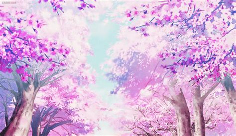 Sakura Trees Anime Aesthetic 10 Aesthetic Anime Sakura Wallpaper