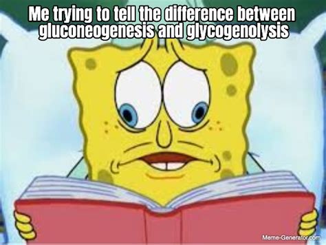 Me Trying To Tell The Difference Between Gluconeogenesis And