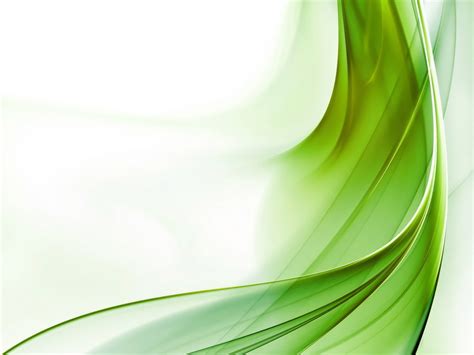 71+ Green Background Wallpaper on WallpaperSafari