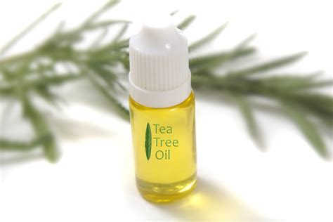 But only a handful of brands are worthy of your trust. 7 Toxic Things You Can Replace With Tea Tree Oil - Women ...