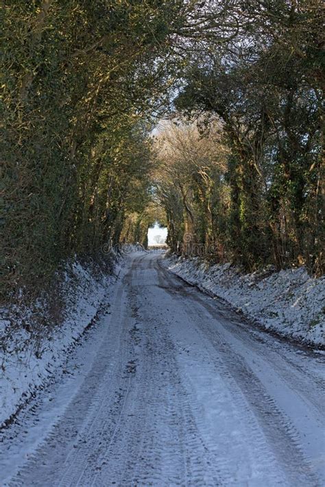 Snow Covered Country Lane Under A Tunnel Canopy Of Leafless Winter