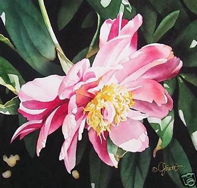 Floral Watercolor Paintings By Jacqueline Gnott Fine Art Blogger
