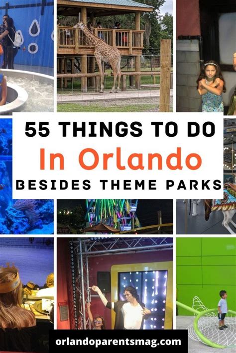 55 Things To Do In Orlando Besides Theme Parks Orlando Theme Parks