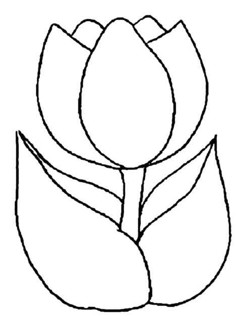 Tulip Line Drawing Clipart Best