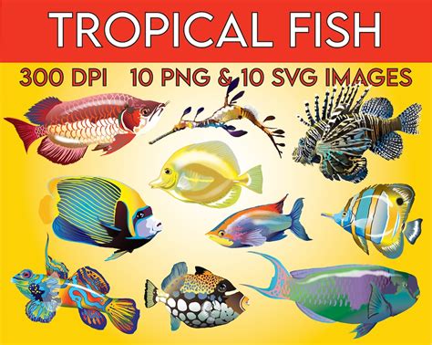 Tropical Fish Clip Art Animal Clip Art Ocean Clip Art Etsy