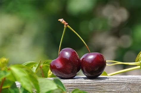 Close Up Photography Of A Red Cherry Fruit · Free Stock Photo