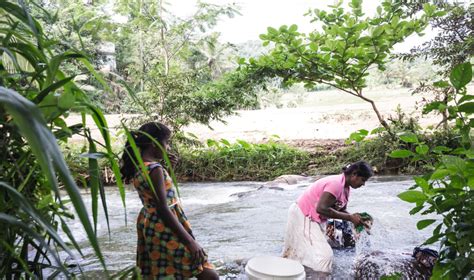 Explore Sri Lankas Village Life Kandy Activities Red Dot Tours