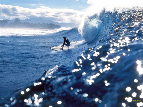 Free Download Underwater Surfing Wallpaper Surfing Wallpaper Hd