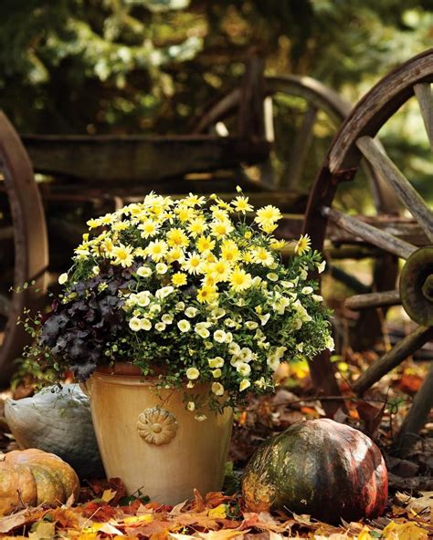 Show Your Team Pride With Container Gardens Decked Out In Your Favorite