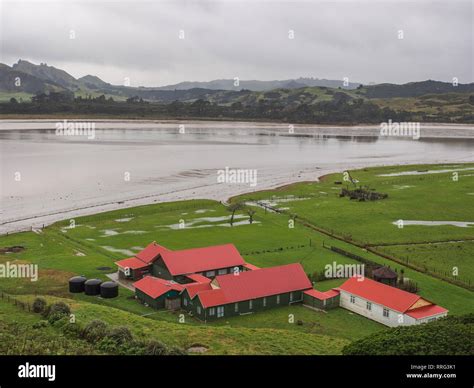 Taiao Marae Belongs To The Iwi Of Te Rarawa The Primary Hapū For The