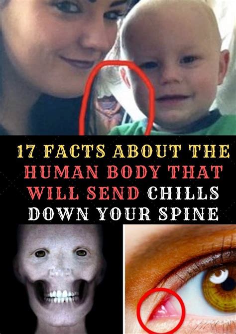 17 Facts About The Human Body That Will Send Chills Down Your Spine