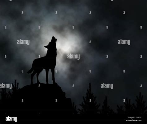 Wolf Howling At Full Moon Black And White