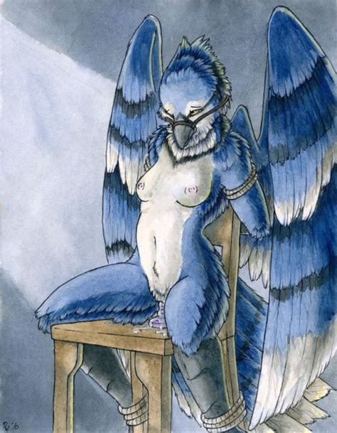 Rule 34 Avian Bondage Blue Blue Jay Bondage Breasts Chair Dildo
