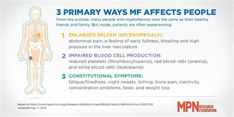Primary Myelofibrosis Pmf Mpn Research Foundation