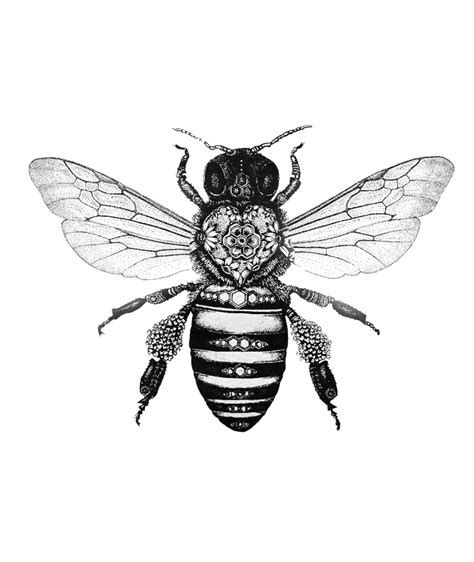 Bee Tattoo Honey Bee Tattoo Tattoos