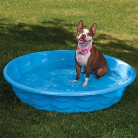 Summer Escapes 4ft Tough Rigid Dog Bath Paddling Pool Sand Pit Duck