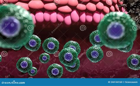 Cells Destroy Cancer 3d Medical Stock Illustration Illustration Of