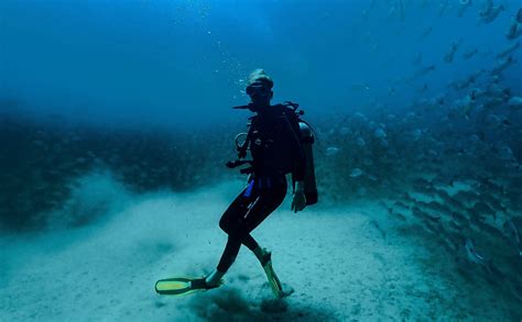 Scuba Diving In Costa Rica Diver Costa Rica Dive And Surf