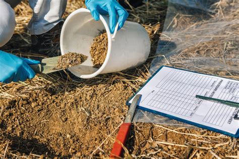 Soil Testing Agronomy Inspector Taking Soil Sample Stock Photo By Microgen