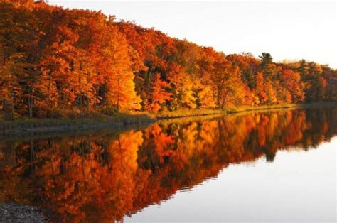 take a 1 5 hour drive through wisconsin to see this year s beautiful fall colors wisconsin