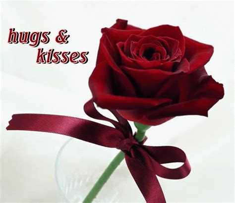 Hugs And Kisses With Red Rose